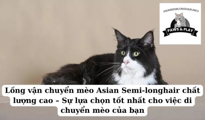 Lồng vận chuyển mèo Asian Semi-longhair chất lượng cao – Sự lựa chọn tốt nhất cho việc di chuyển mèo của bạn