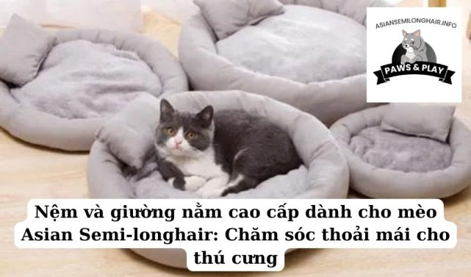 Nệm và giường nằm cao cấp dành cho mèo Asian Semi-longhair Chăm sóc thoải mái cho thú cưng